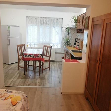 Moss'S Economy Studio Тимишоара Экстерьер фото
