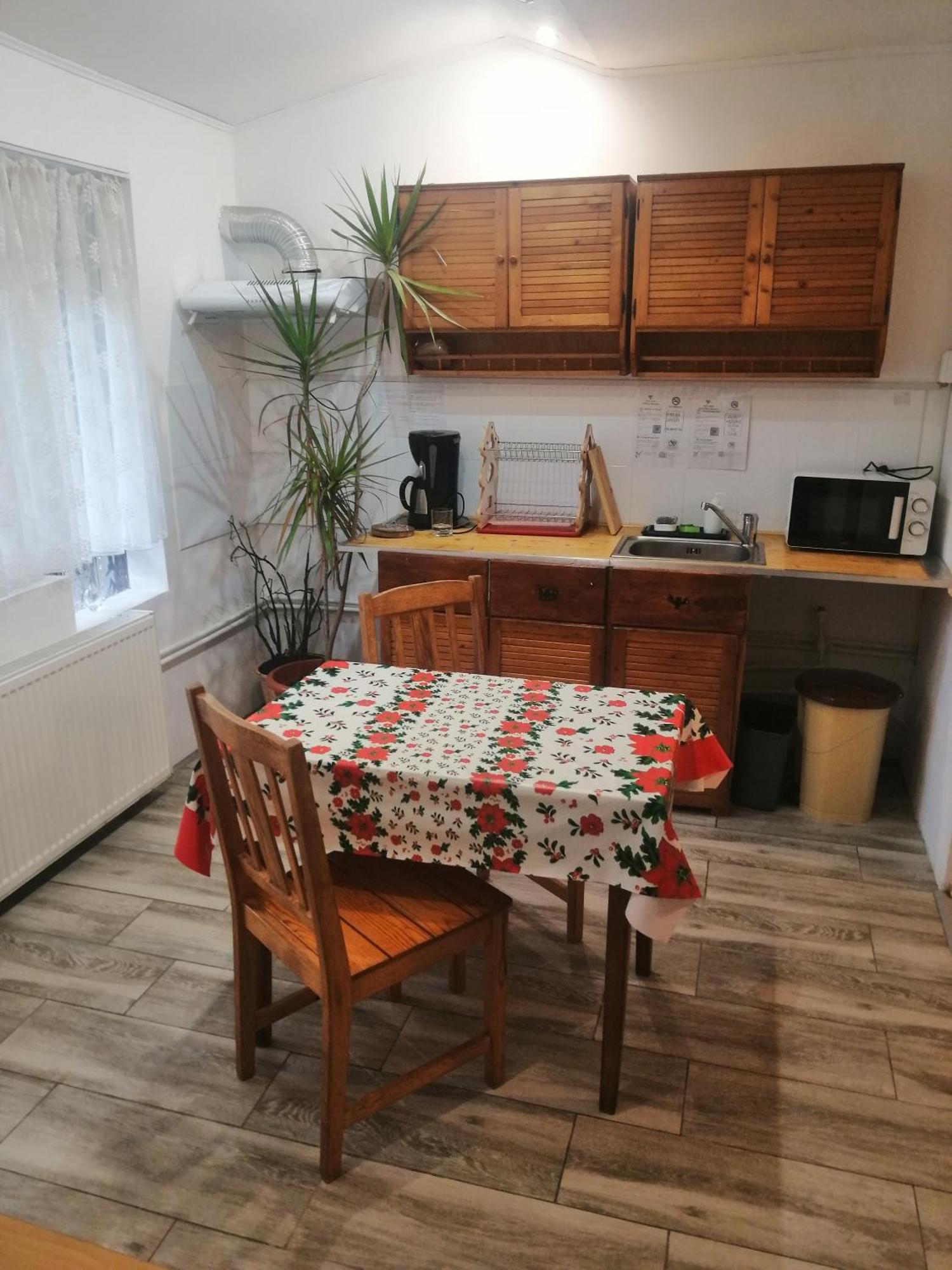 Moss'S Economy Studio Тимишоара Экстерьер фото